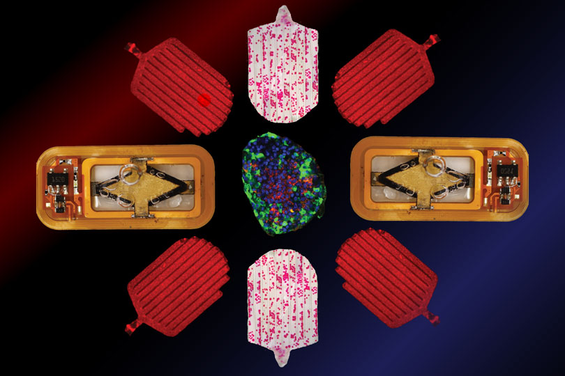 Implant parts arranged like a a flower. 